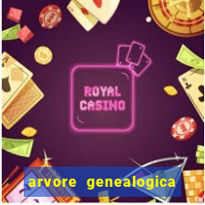 arvore genealogica dos gracie